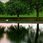 "Dog Walks in Inverleith Park by Jenni Douglas licensed under CC BY 2.0"