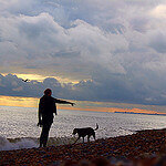 "Dog Walking on Brighton Beach by Pavlina Jane licensed under CC BY-SA 2.0"