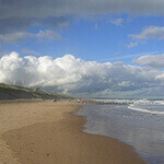 aberdeen beach/queens link, a great place to walk your dog in aberdeen
