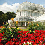 botanic gardens, a great place for dog walks in belfast