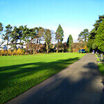 drumglass park, a great place to walk your dog in belfast