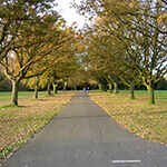 southampton common, a great place to walk your dog in southampton